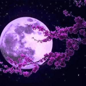 Meet your Posher, Raquel